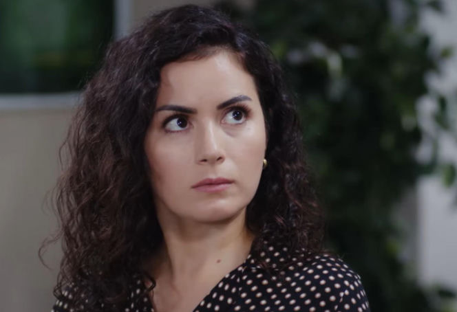 Dziedzictwo odcinek 898