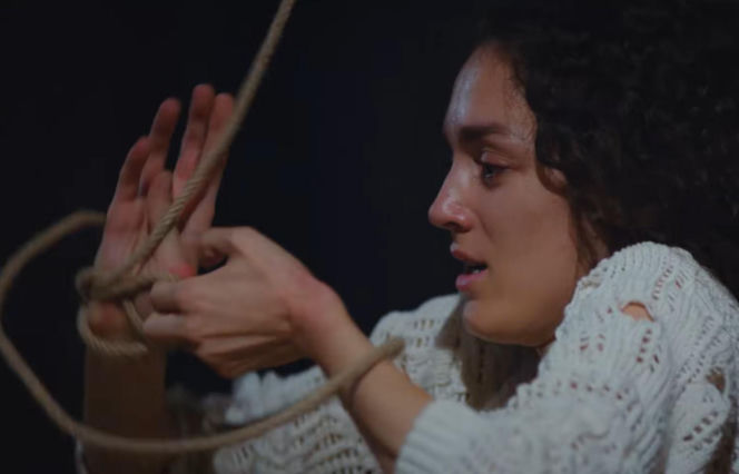 Dziedzictwo, odcinek 891. Poyraz zastawia pułapkę na Szakala, a Nana z Nazli uciekają Truciźnie