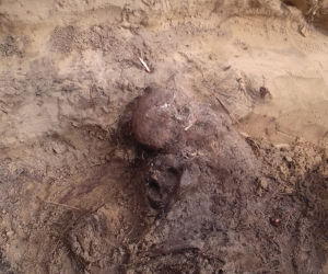 Historyczne znalezisko w warszawskim lesie. Doły śmierci na Białołęce. Wśród ofiar kobieta z długim warkoczem 