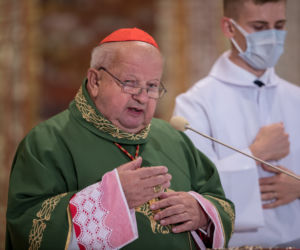 Kardynał Dziwisz: Nie wziąłem pieniędzy za ukrywanie czynów niegodnych