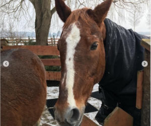 Katarzyna Dowbor, Rodezja