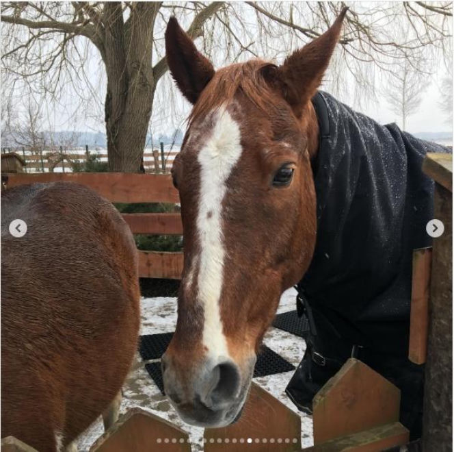 Katarzyna Dowbor, Rodezja