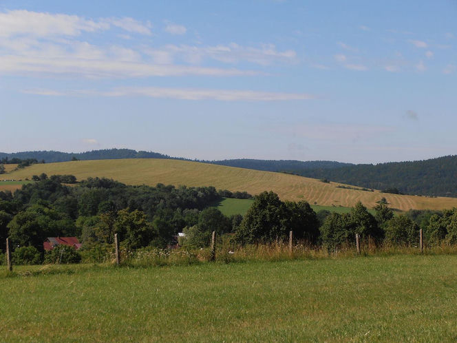 Park Krajobrazowy Pogórza Przemyskiego