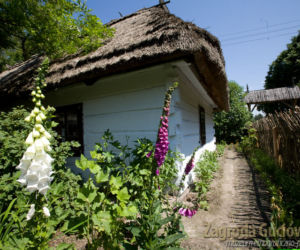 Guciów