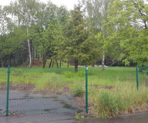  Katowice. Kolejne osiedle zamiast zieleni. Wytną drzewa! Mieszkańcy są OBURZENI! 