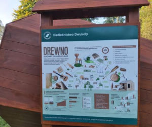 Wielki megafon w Nadleśnictwie Dwukoły. Nowa atrakcja turystyczna na Mazurach [ZDJĘCIA]