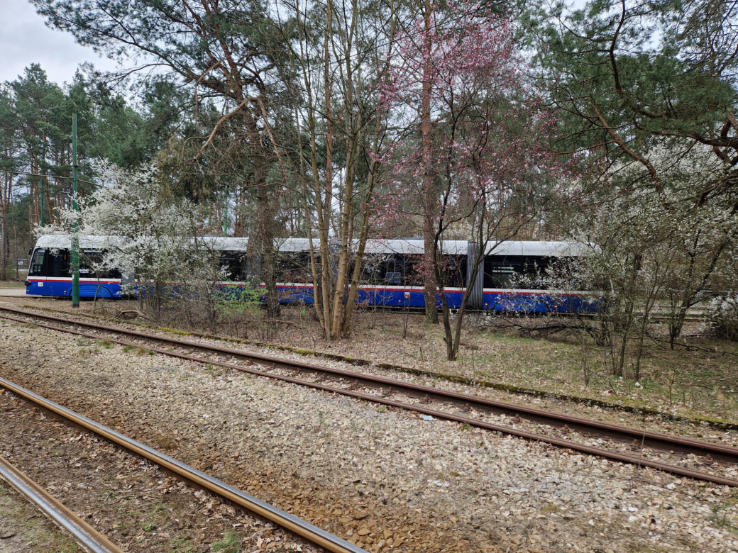 Tak po modernizacji będzie wyglądała pętla tramwajowa w Lesie Gdańskim! 
