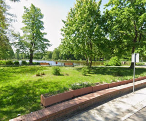 To jedno z najpiękniejszych miast na Dolnym Śląsku. Leży na skale i zachwyca widokami!