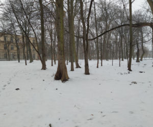 Gdzie mieścił się kiedyś letni teatr? Siedlecki park Aleksandria sto lat temu i w pierwszym tygodniu stycznia 2021: