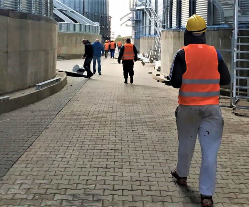 Nielegalnie pracujący obywatele Ukrainy i Białorusi muszą opuścić Polskę