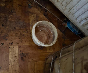 Psy żyły w koszmarnych warunkach