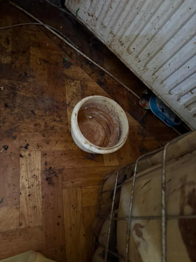 Psy żyły w koszmarnych warunkach