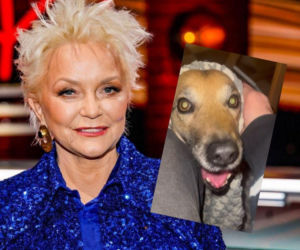 Ten sylwester był HORROREM. Gwiazda TVP ukrywała się pod ziemią