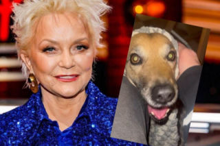 Ten sylwester był HORROREM. Gwiazda TVP ukrywała się pod ziemią