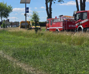 Czołówka na DK 63 w Chodowie. Kilka osób zostało poszkodowanych, w tym dziecko