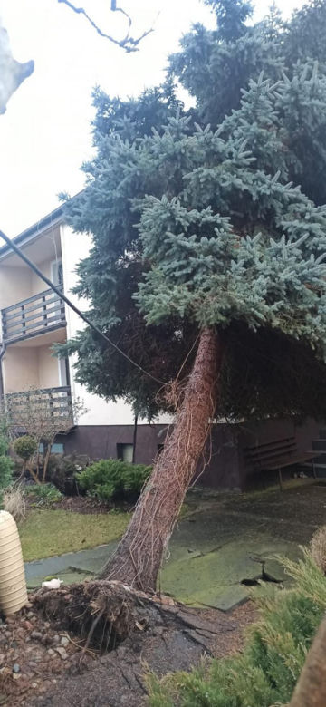 Pogodowy armagedon