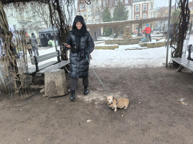 Spacer z pieskami w Lesznie