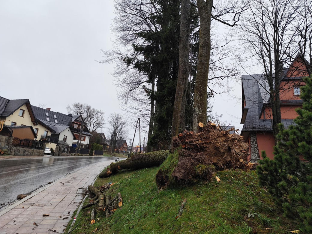 Tragedia w Zakopanem. Basia zginęła, jej pies przeżył