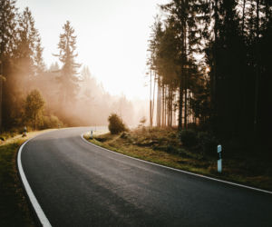 Rusza specjalna akcja w woj. lubelskim