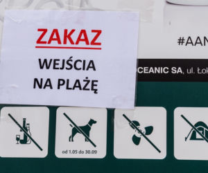 Dostali mandat za siedzenie w aucie 