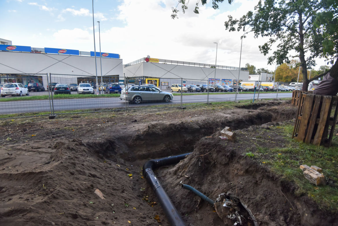 Park Glazja w Toruniu. Co dalej z zielonymi terenami?