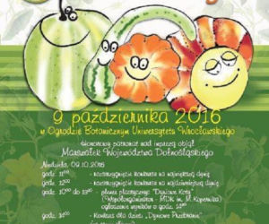 Festiwal Dyni