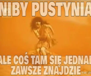 MEMY o Beacie Kozidrak
