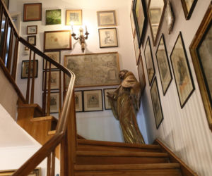 Koty Jarka nas terroryzują