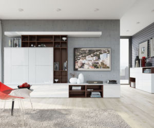 Meble do apartamentu: Loft