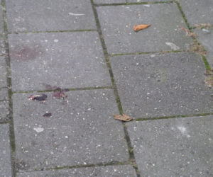 Katowice. Zarażony popełnił samobójstwo