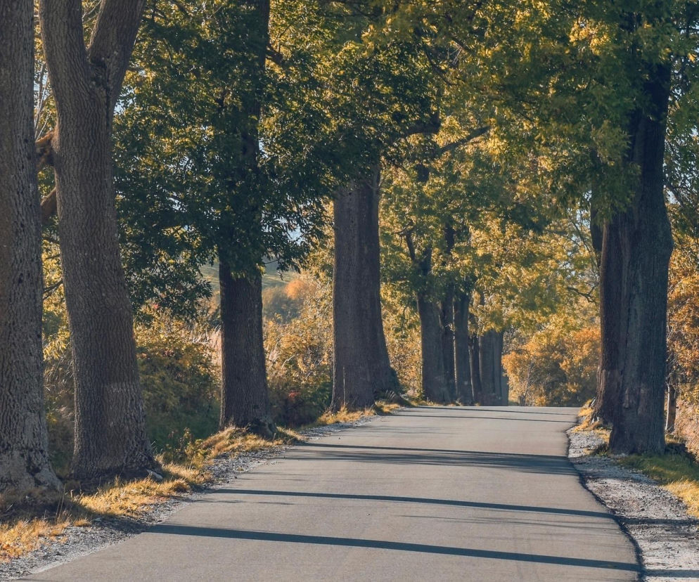 5,8 mln zł na drogi w gminie i powiecie. Będzie przebudowa Łąkowej i ulic w Rogaszycach