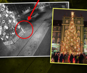 Temu panu bardzo spodobała się miejska choinka. Do tego stopnia, że próbował ukraść ozdoby