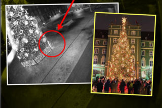 Temu panu bardzo spodobała się miejska choinka. Do tego stopnia, że próbował ukraść ozdoby