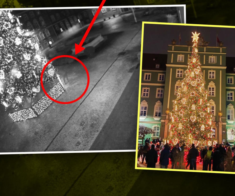 Próbował ukraść ozdoby z miejskiej choinki