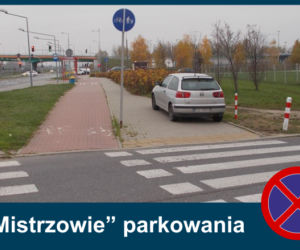 Mistrzowie parkowania. Tak kierowcy parkują w Warszawie