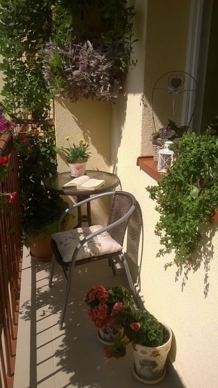 Konkurs - NAJPIĘKNIEJ ZAARANŻOWANY BALKON 2015 ROKU zdjecie nr 4