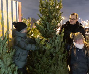 Premier Mateusz Morawiecki kupuje choinkę na święta. 