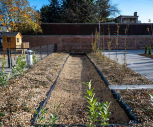 Kamienica przy Wilczej 1, 3, 5 na Przedmieściu Oławskim