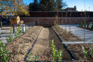 Kamienica przy Wilczej 1, 3, 5 na Przedmieściu Oławskim
