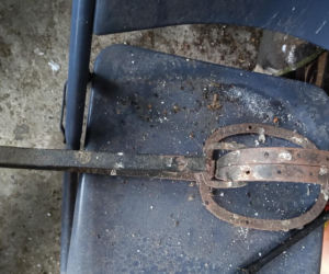 Policja rozbiła grupę złodziei bydła. Pięciu mężczyzn z zarzutami