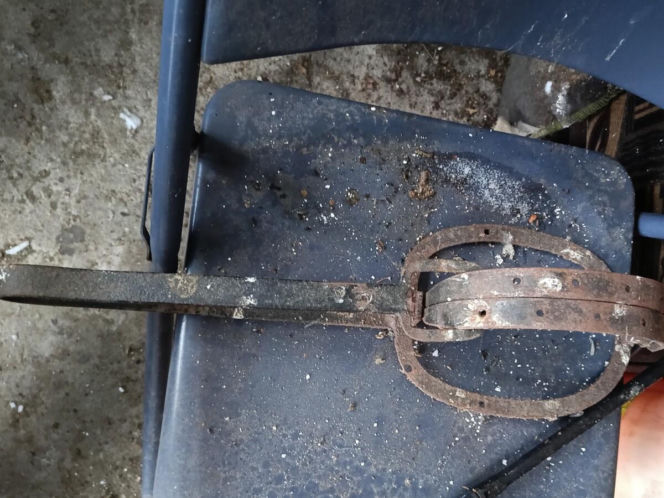 Policja rozbiła grupę złodziei bydła. Pięciu mężczyzn z zarzutami