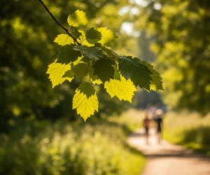Weekend w Poznaniu zapowiada się doskonale. Ale to niedziela przyniesie największą zmianę