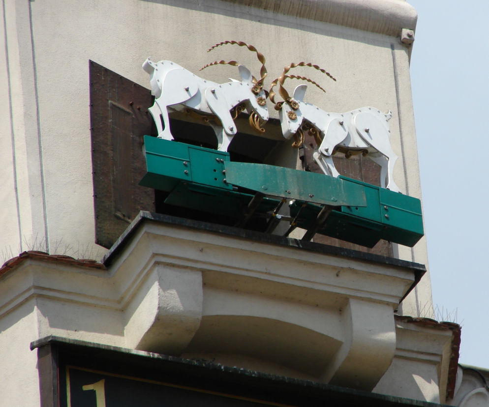Koziołki na poznańskim ratuszu