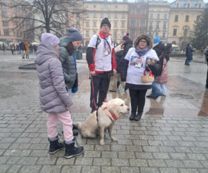 34. finał WOŚP w Krakowie. Golden Retrievery na Rynku Głównym
