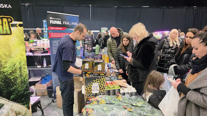 Egzotyczny świat zawitał do Bydgoszczy! Pająki i węże były na wyciągnięcie ręki