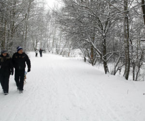 Idealne miejsca na zimowy spacer w Warszawie