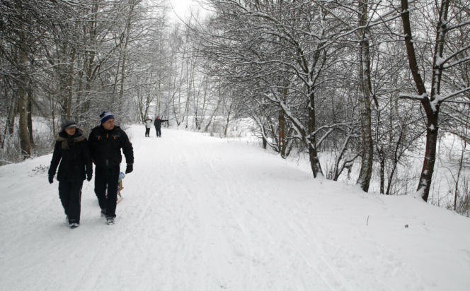 Idealne miejsca na zimowy spacer w Warszawie