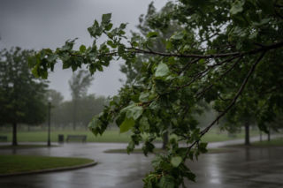 Pogoda na weekend w Warszawie 24-26 kwietnia. Nadciąga gwałtowne załamanie aury!