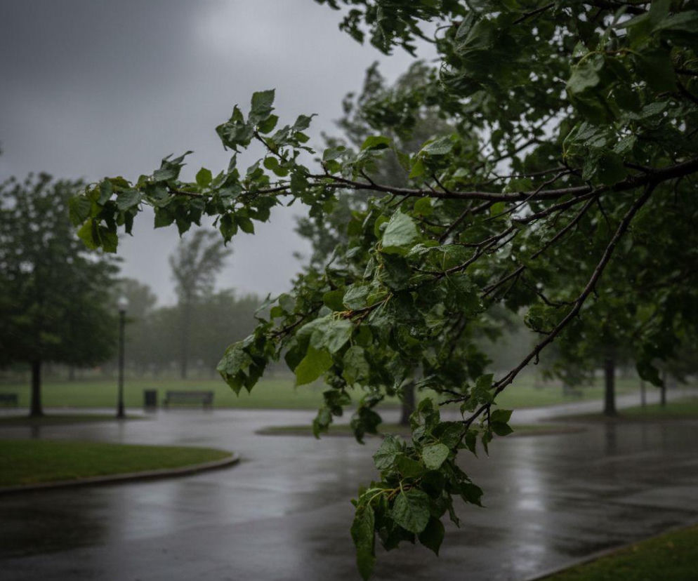 AI zdjęcie do artykułu