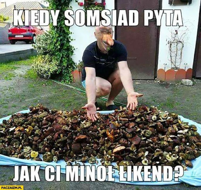 Grzybobranie 2023. Zobaczcie najlepsze memy o grzybiarzach! 